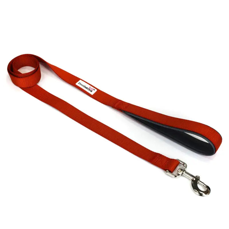 Doodlebone Limited Edition Dog Lead - Pumpkin - Doodle - 1