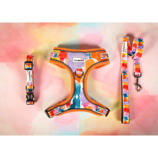 Doodlebone Limited Edition Dog Lead - Watercolour - Doodle - 2