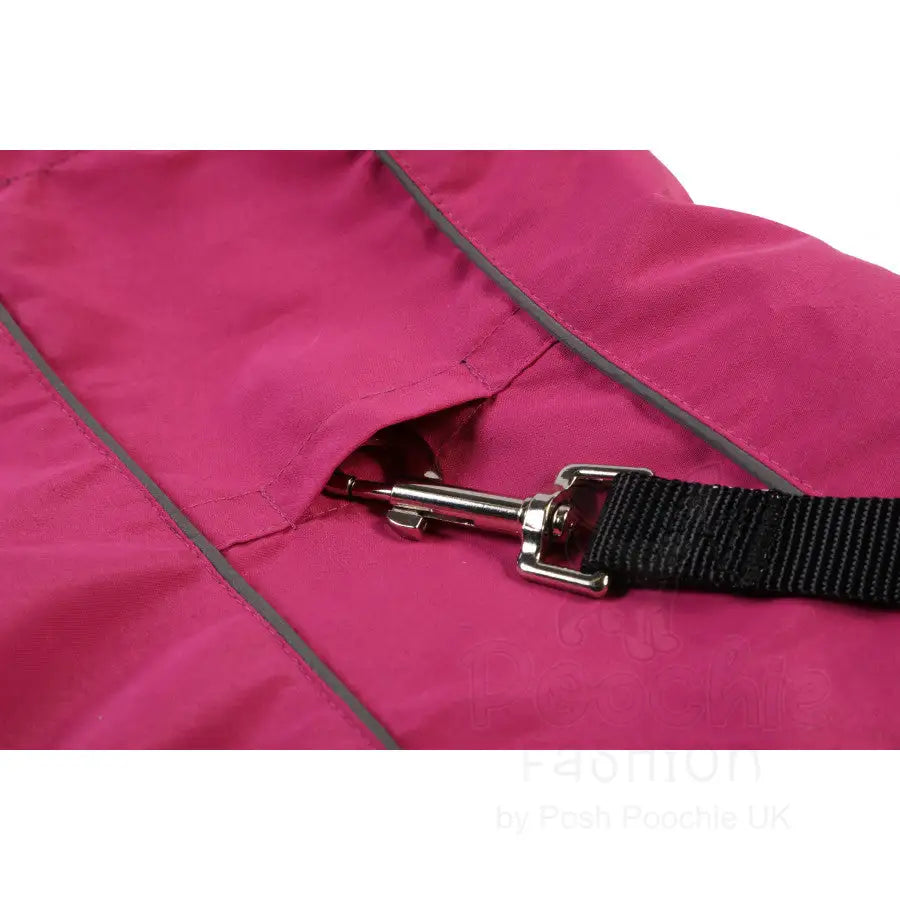 Doodlebone Mac in a Pack in Sangria - Doodle - 4