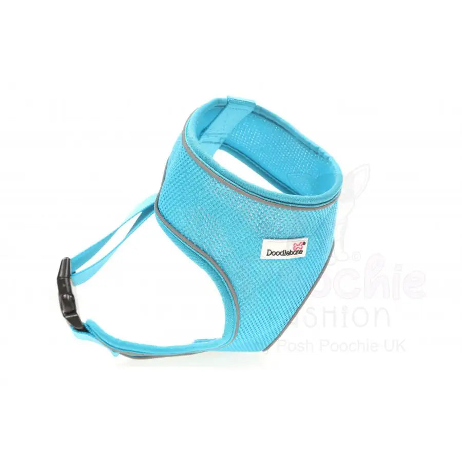Doodlebone Originals Airmesh Dog Harness - Aqua Blue - Doodlebone - 3