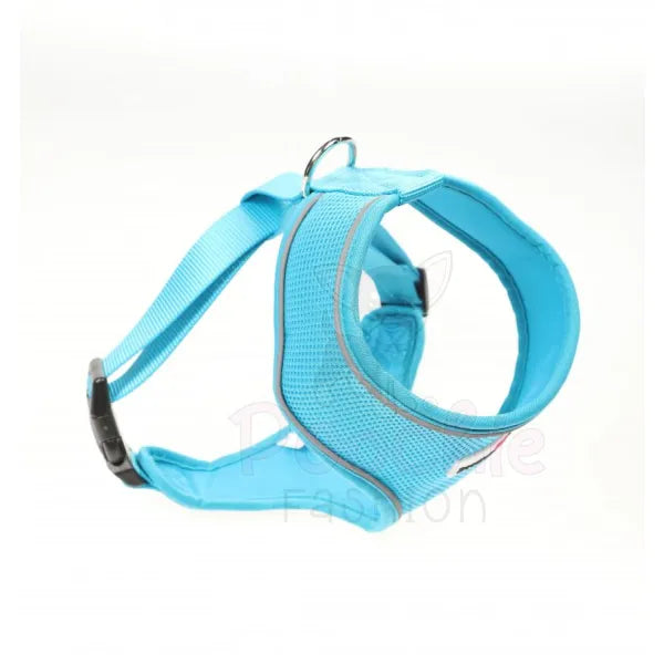 Doodlebone Originals Airmesh Dog Harness - Aqua Blue - Doodlebone - 2