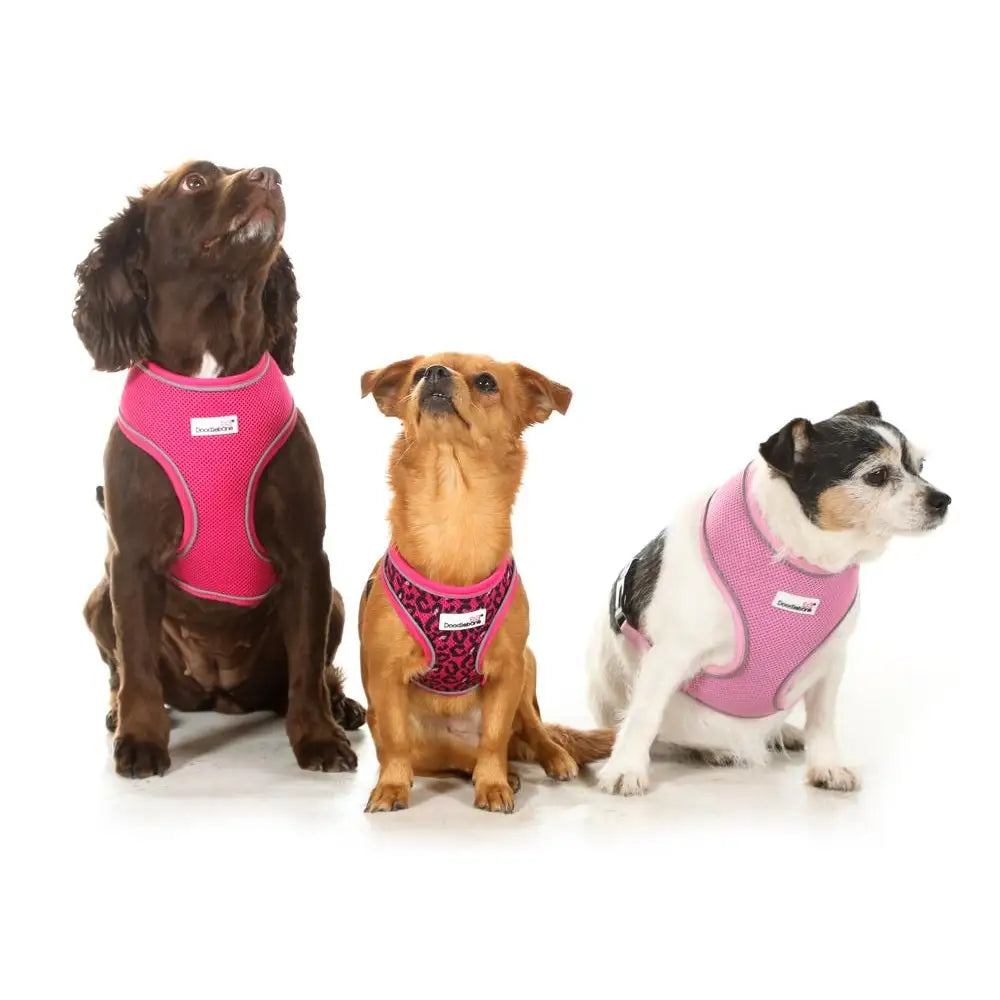 Doodlebone Originals Airmesh Dog Harness - Coal Black - Doodlebone - 4