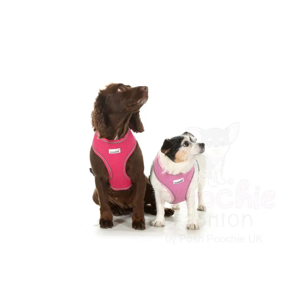 Doodlebone Originals Airmesh Dog Harness - Fuchsia Pink - Doodlebone - 4