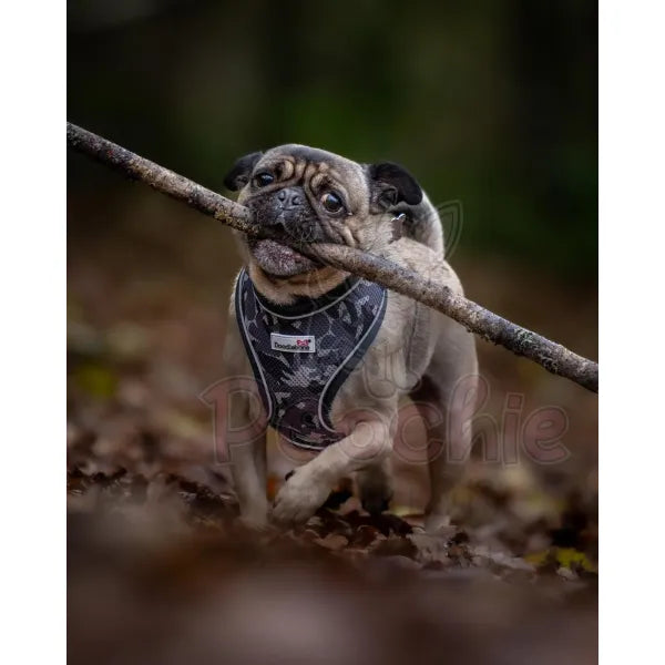 Doodlebone Originals Airmesh Dog Harness - Smokey Grey Camo - Doodlebone - 7