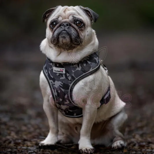 Doodlebone Originals Airmesh Dog Harness - Smokey Grey Camo - Doodlebone - 2