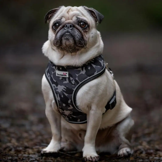 Doodlebone Originals Airmesh Dog Harness - Smokey Grey Camo - Doodlebone - 2