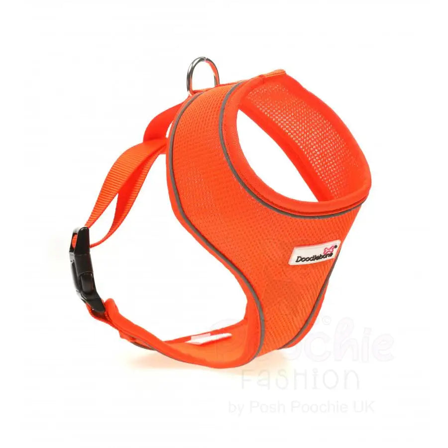 Doodlebone Originals Airmesh Dog Harness - Tangerine Orange - Doodlebone - 3