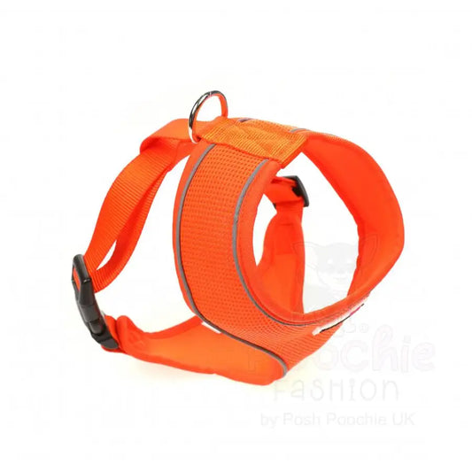 Doodlebone Originals Airmesh Dog Harness - Tangerine Orange - Doodlebone - 2