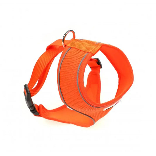 Doodlebone Originals Airmesh Dog Harness - Tangerine Orange - Doodlebone - 2