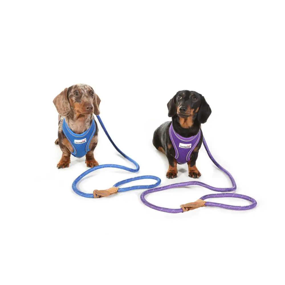 Doodlebone Originals Airmesh Dog Harness - Violet Purple - Doodlebone - 4