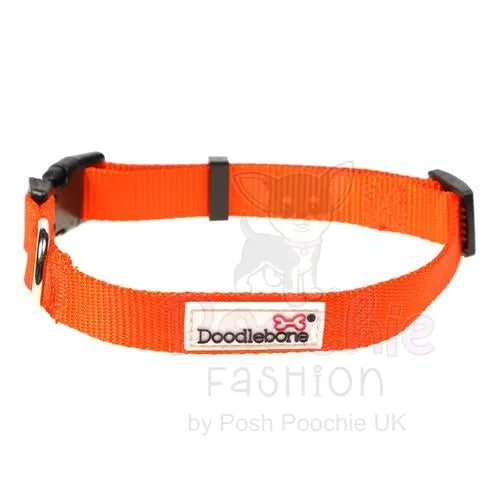 Doodlebone Originals Dog Collar - Tangerine - Doodlebone - 2