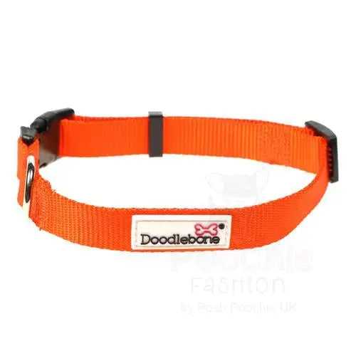 Doodlebone Originals Dog Collar - Tangerine - Doodlebone - 2