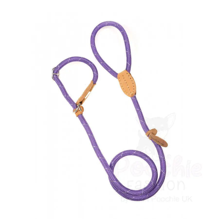 Doodlebone Originals Dog Slip Leads - Doodlebone - 12
