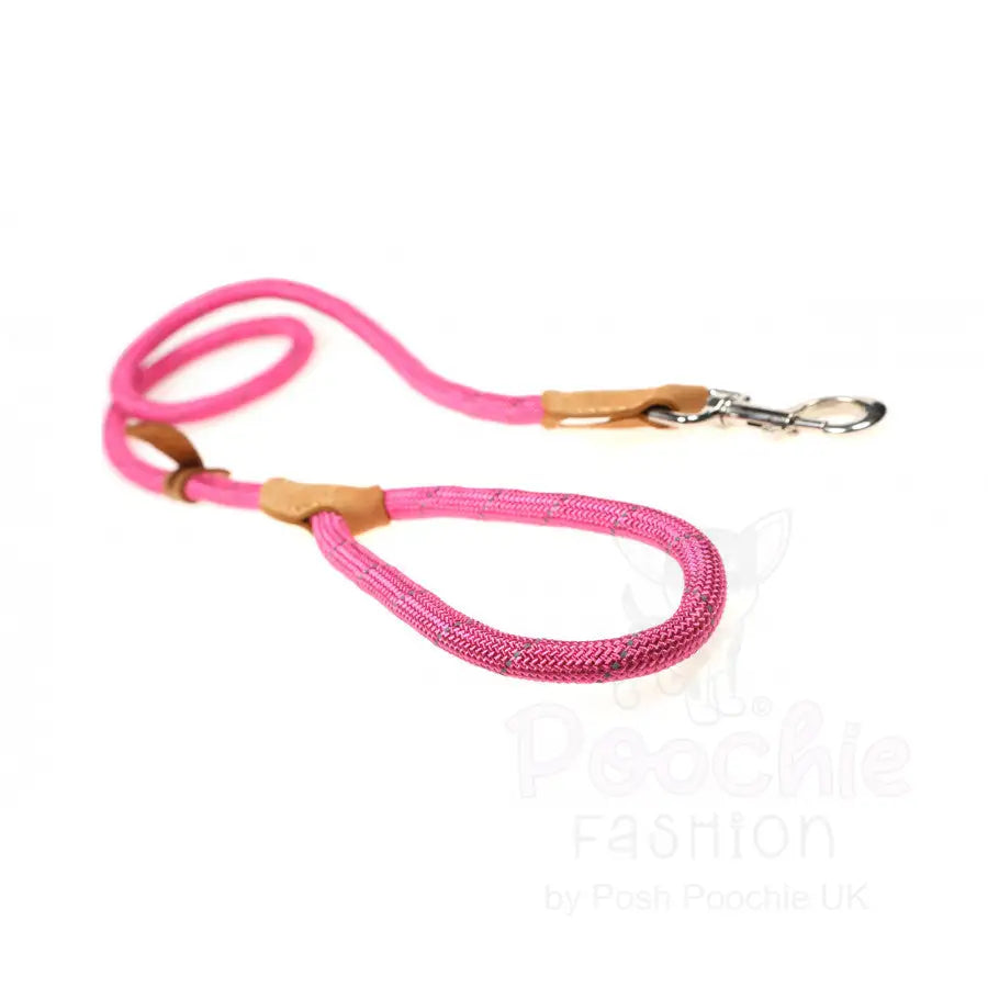 Doodlebone Originals Dog Slip Leads - Doodlebone - 6