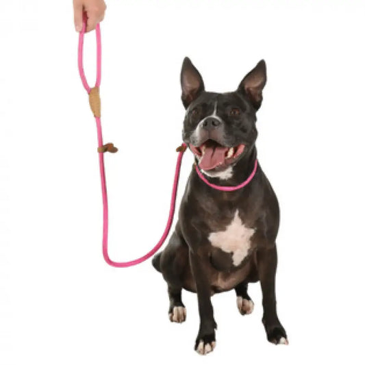 Doodlebone Originals Dog Slip Leads - Doodlebone - 2