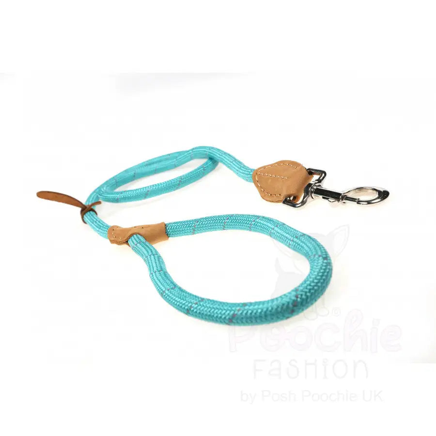 Doodlebone Originals Dog Slip Leads - Doodlebone - 7