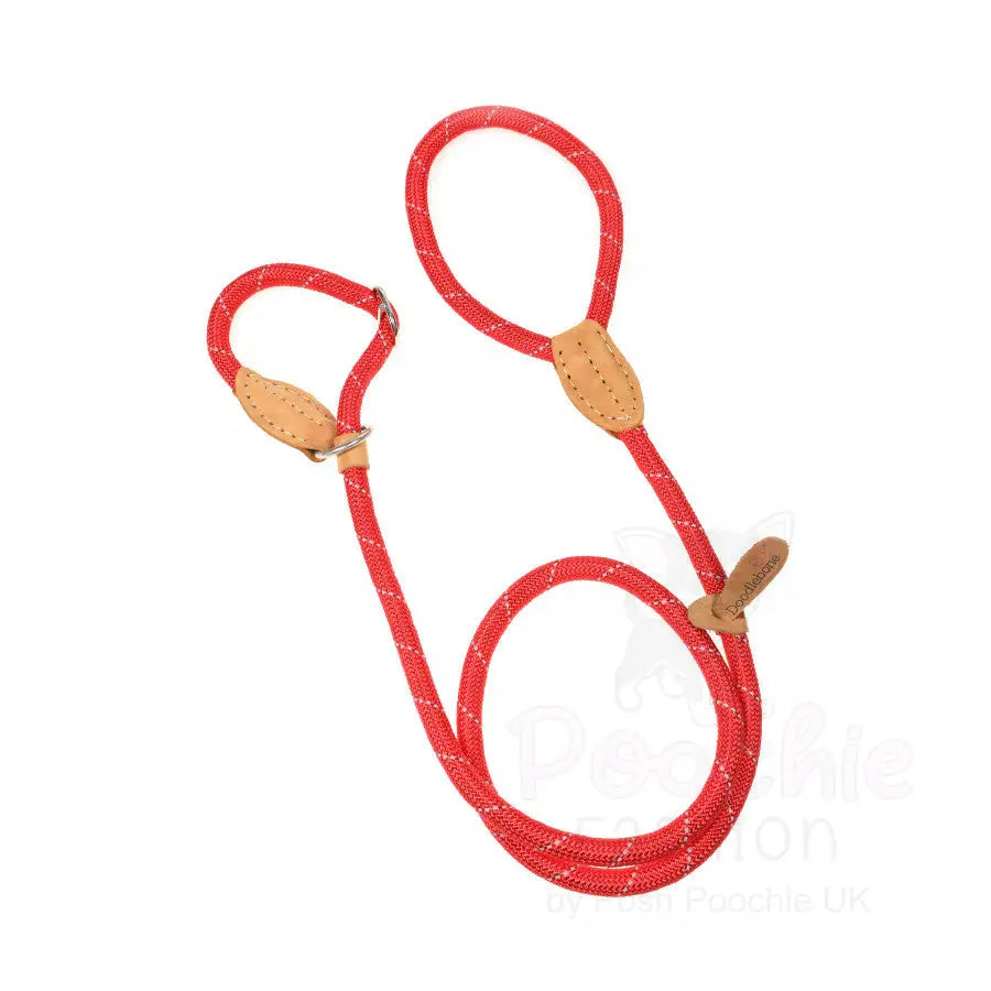Doodlebone Originals Dog Slip Leads - Doodlebone - 10