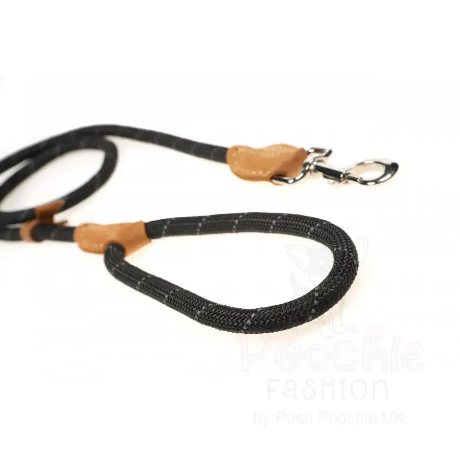 Doodlebone Originals Dog Slip Leads - Doodlebone - 5