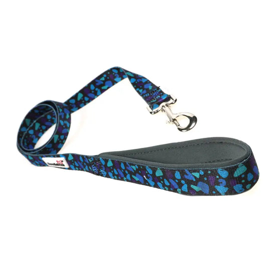 Doodlebone Originals Electric Party Dog Lead - Doodlebone - 2