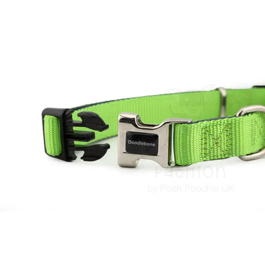 Doodlebone Originals Padded Dog Collar - Apple Green - Doodlebone - 2