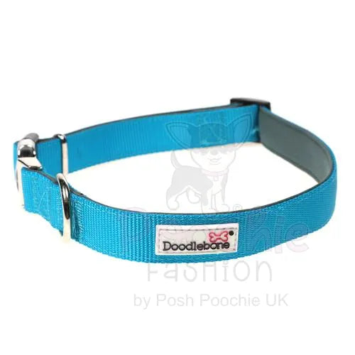 Doodlebone Originals Padded Dog Collar - Aqua - Doodlebone - 3