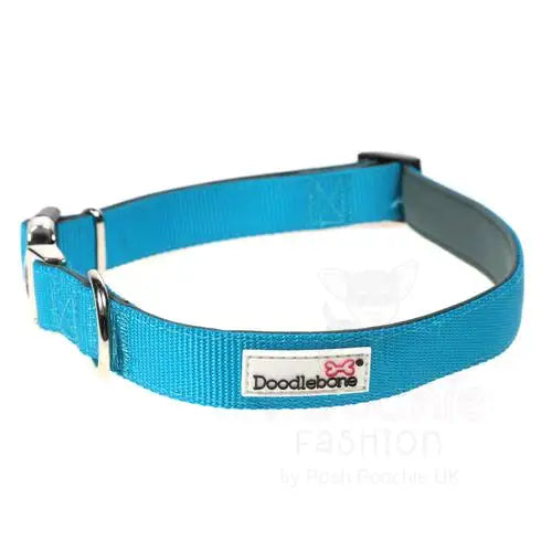 Doodlebone Originals Padded Dog Collar - Aqua - Doodlebone - 3