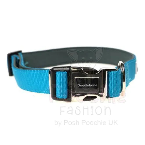 Doodlebone Originals Padded Dog Collar - Aqua - Doodlebone - 2