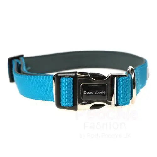 Doodlebone Originals Padded Dog Collar - Aqua - Doodlebone - 2