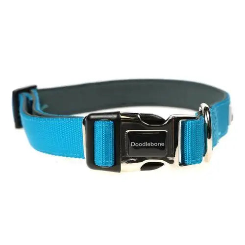 Doodlebone Originals Padded Dog Collar - Aqua - Doodlebone - 2
