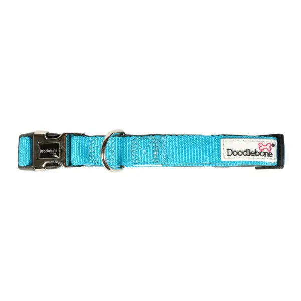 Doodlebone Originals Padded Dog Collar - Aqua - Doodlebone - 1