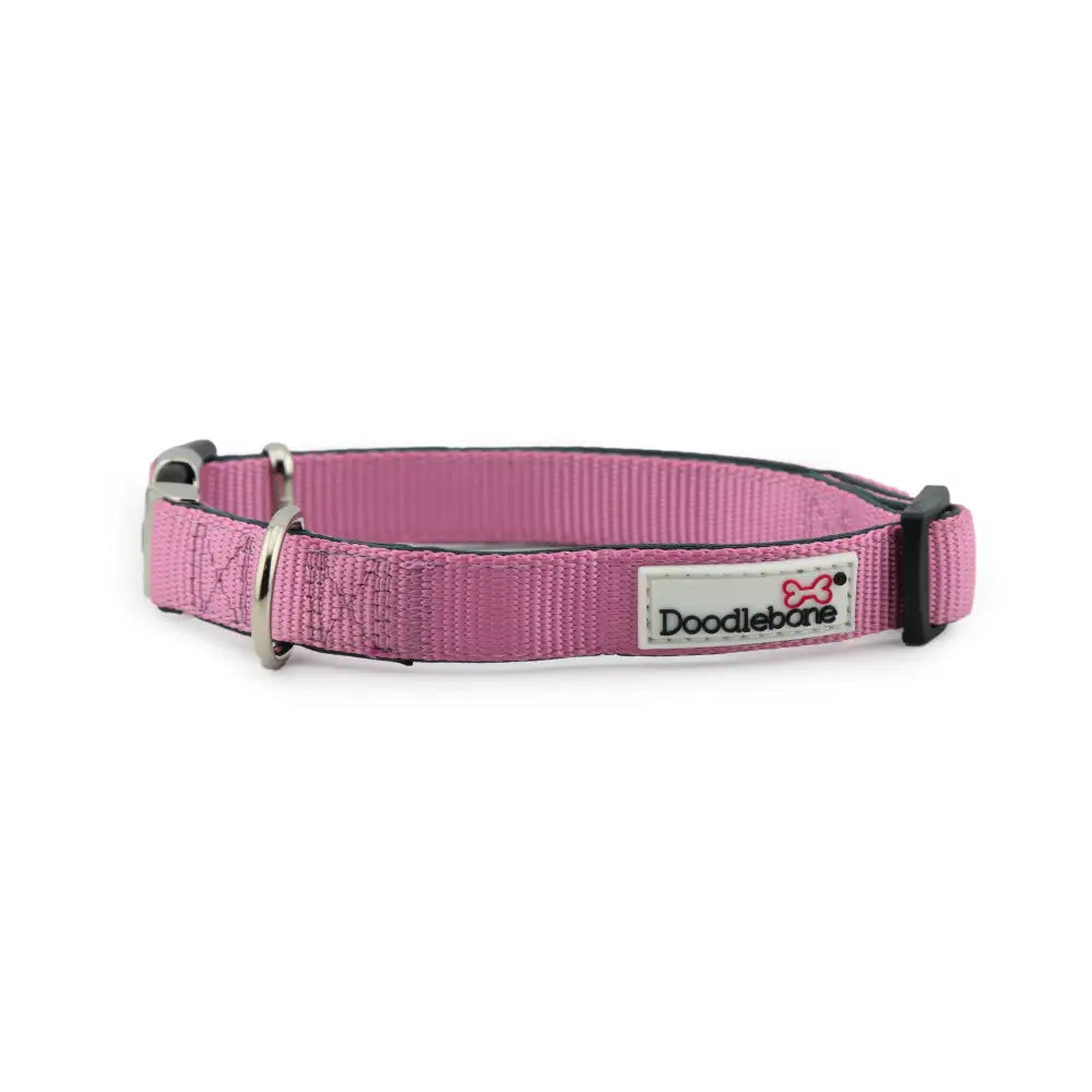 Doodlebone Originals Padded Dog Collar - Blush Pink - Doodlebone - 3