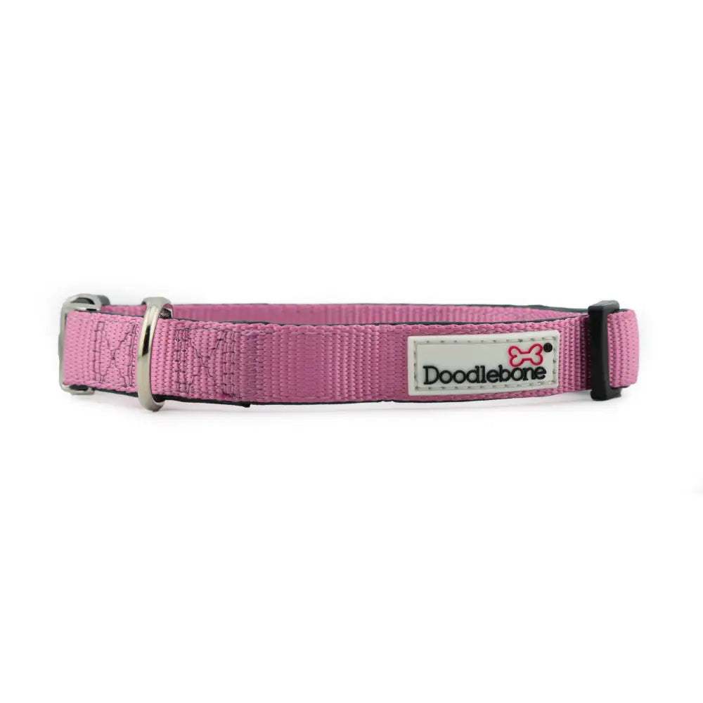 Doodlebone Originals Padded Dog Collar - Blush Pink - Doodlebone - 1