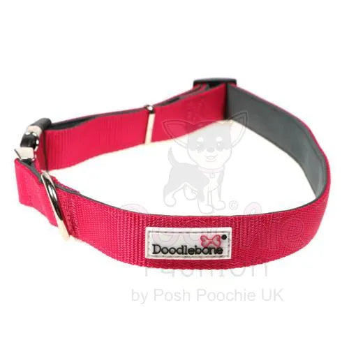 Doodlebone Originals Padded Dog Collar - Fuchsia - Doodlebone - 3