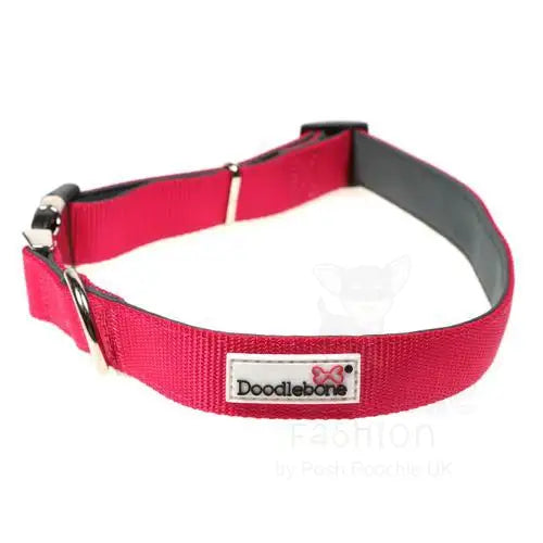 Doodlebone Originals Padded Dog Collar - Fuchsia - Doodlebone - 3