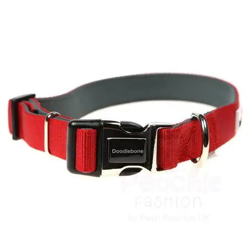 Doodlebone Originals Padded Dog Collar - Ruby Red - Doodlebone - 2