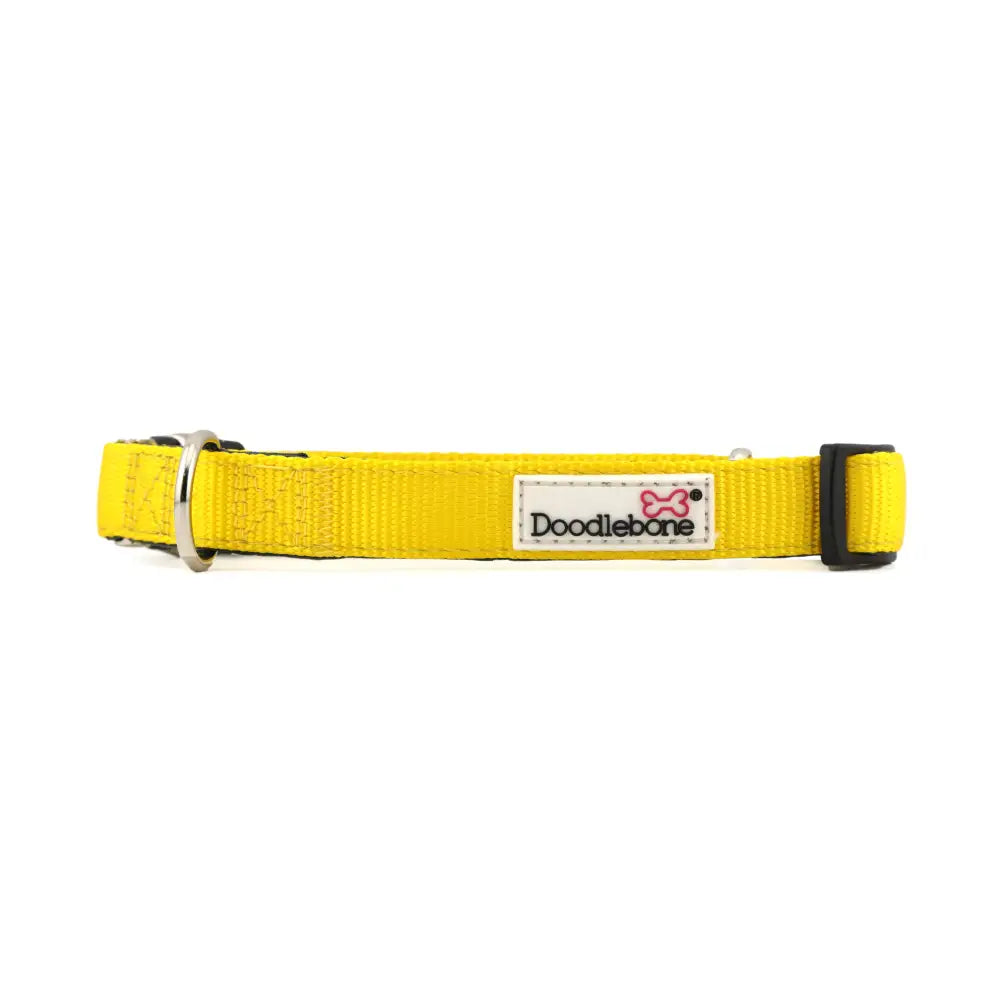 Doodlebone Originals Padded Dog Collar - Sunshine Yellow - Doodlebone - 1