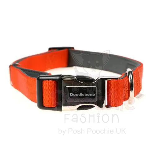 Doodlebone Originals Padded Dog Collar - Tangerine - Doodlebone - 2