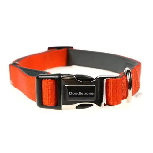 Doodlebone Originals Padded Dog Collar - Tangerine - Doodlebone - 2