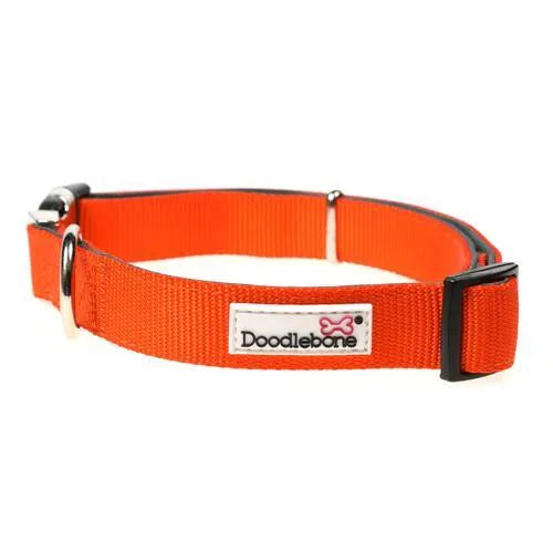 Doodlebone Originals Padded Dog Collar - Tangerine - Doodlebone - 1