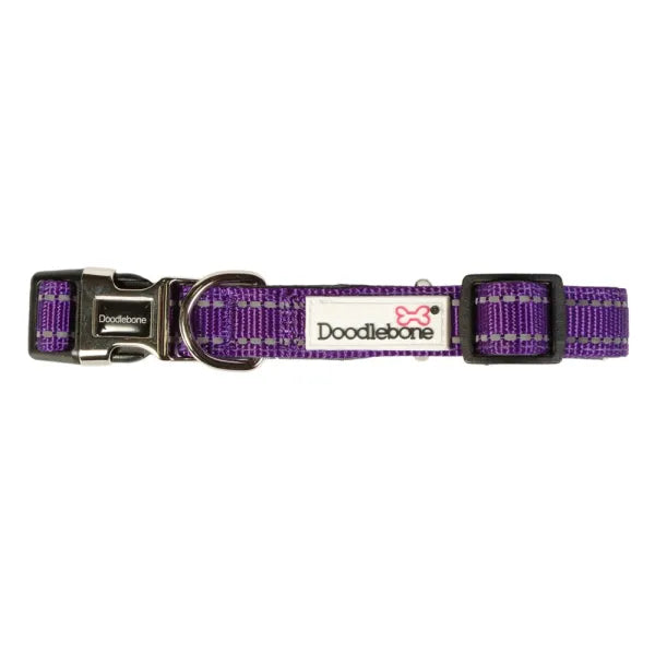 Doodlebone Originals Padded Dog Collar - Violet - Doodlebone - 1
