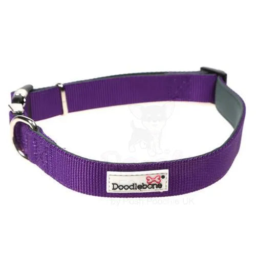 Doodlebone Originals Padded Dog Collar - Violet - Doodlebone - 3