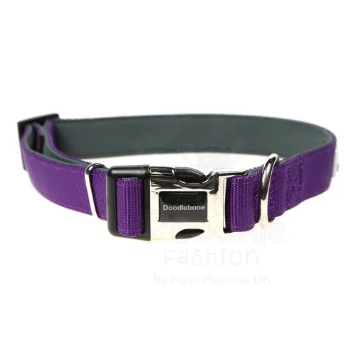 Doodlebone Originals Padded Dog Collar - Violet - Doodlebone - 2