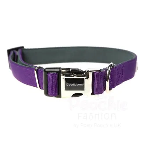 Doodlebone Originals Padded Dog Collar - Violet - Doodlebone - 2