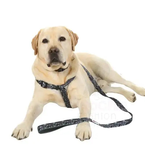 Doodlebone Originals Smokey Camo Dog Lead - Doodlebone - 3