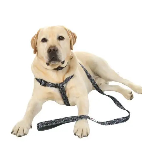 Doodlebone Originals Smokey Camo Dog Lead - Doodlebone - 3