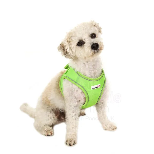 Doodlebone Originals Snappy Dog Harness - Apple Green - Doodlebone - 4