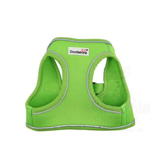 Doodlebone Originals Snappy Dog Harness - Apple Green - Doodlebone - 2