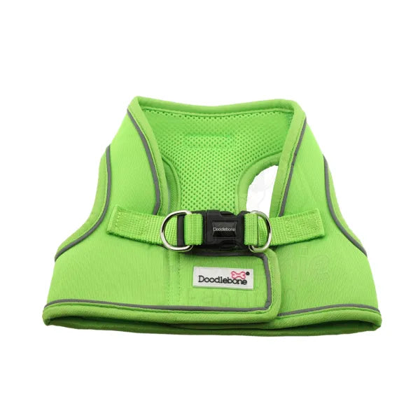 Doodlebone Originals Snappy Dog Harness - Apple Green - Doodlebone - 3