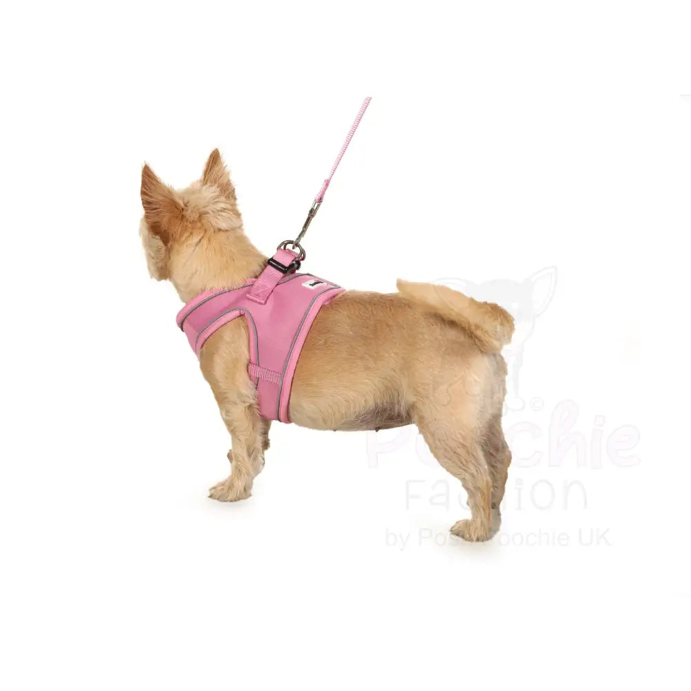 Doodlebone Originals Snappy Dog Harness - Blush Pink - Doodlebone - 5