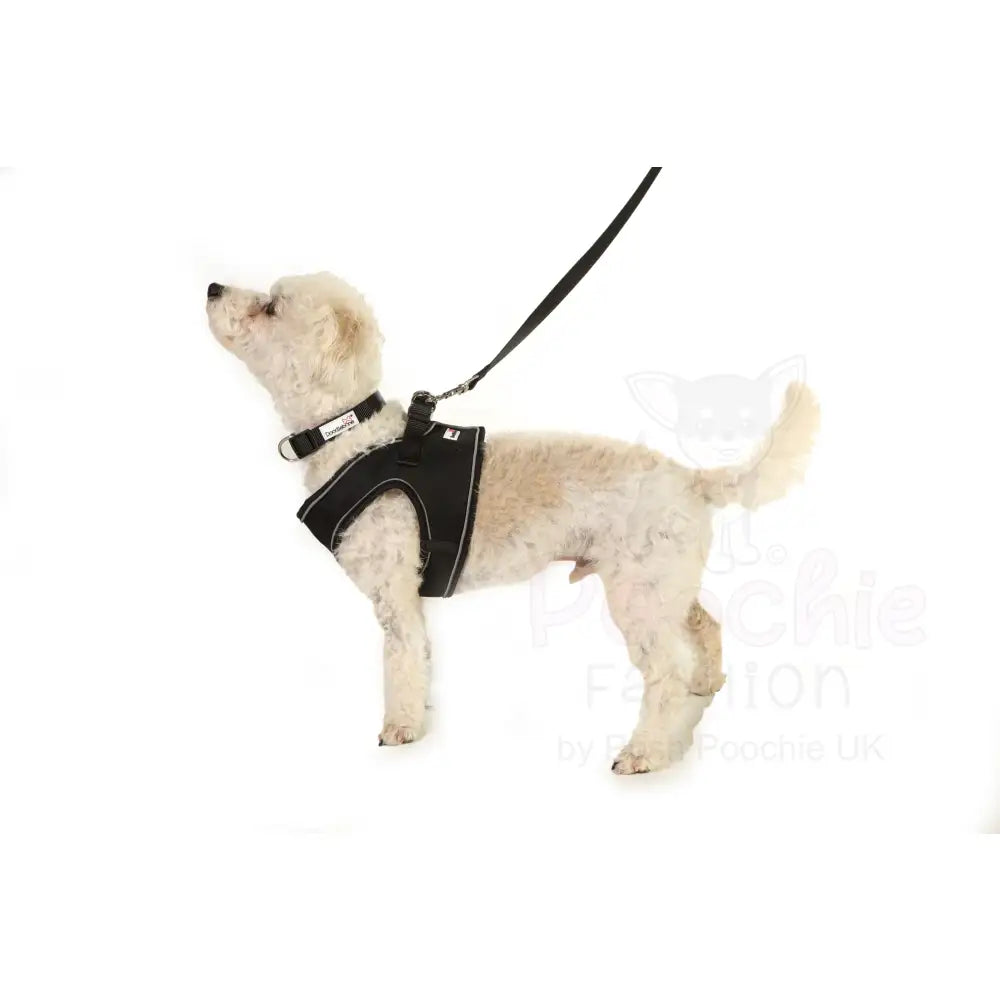 Doodlebone Originals Snappy Dog Harness - Coal Black - Doodlebone - 4
